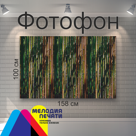 Фотофон 158х100 см