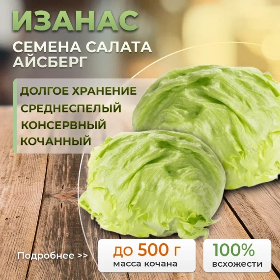 ИЗАНАС семена салата (Rijk Zwaan | Alexagro) – фото 1