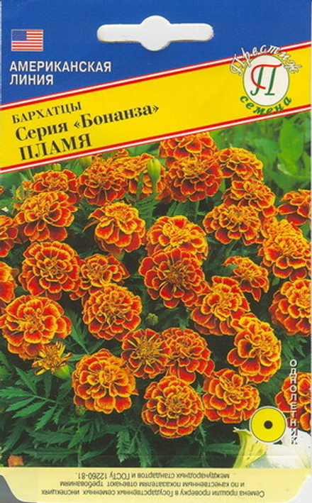 Бархатцы Бонанза Пламя Престиж