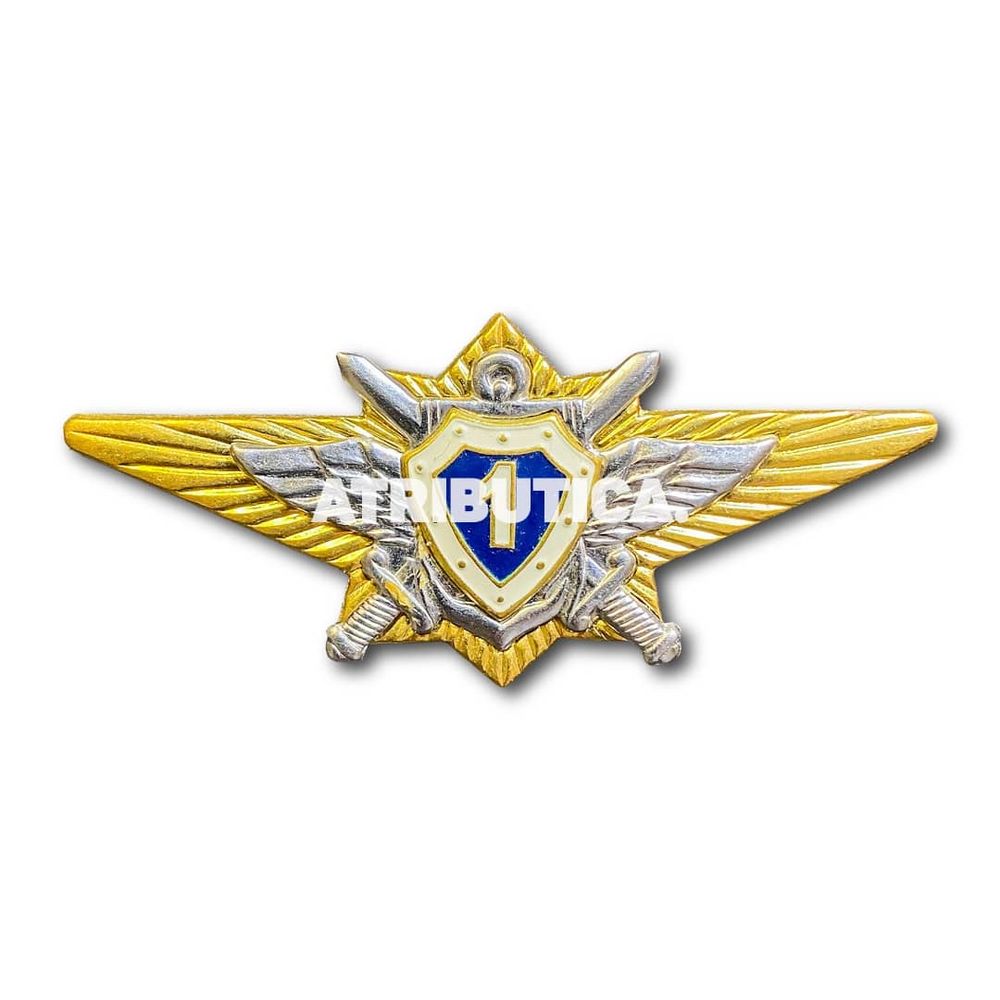 Знак Нагрудный Классность Офицерского Состава МО 1 Класс | ATRIBUTICASTORE.RU