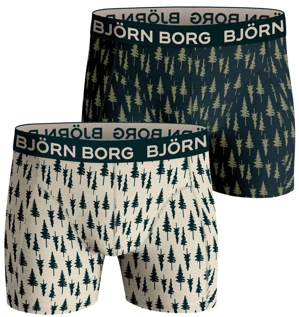 Мужские спортивные боксеры Björn Borg Core Boxer 2P - разноцветный