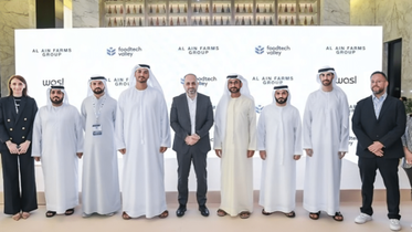 "Зеленый" хаб для онлайн-торговли продуктами построят в Дубае