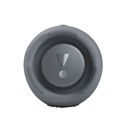 Портативная колонка JBL Charge 5, камуфляж