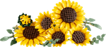 Конструктор LEGO The Botanical Collection 11502 Sunflower Bouquet