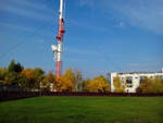 Посев газона