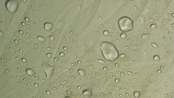 Outwell Georgia 7P Front Awning [110209]