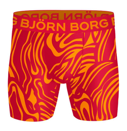 Боксерки теннисные Bj_rn Borg Sports Microfiber 3P - multicolor