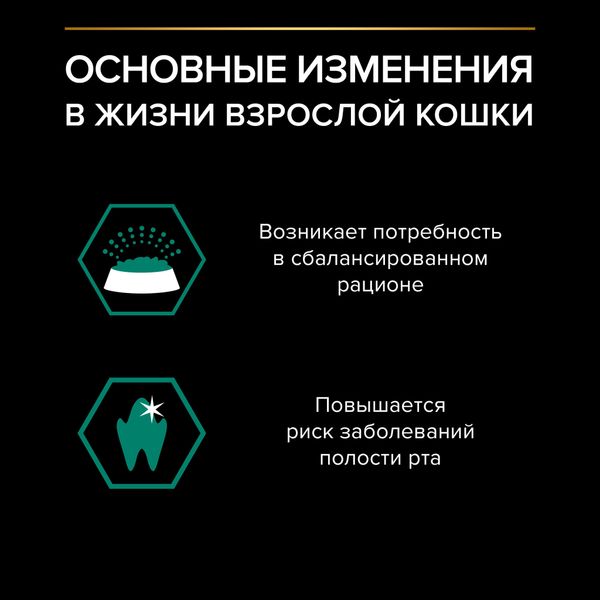 Пауч Pro Plan Maintenance для взрослых кошек, с говядиной в соусе