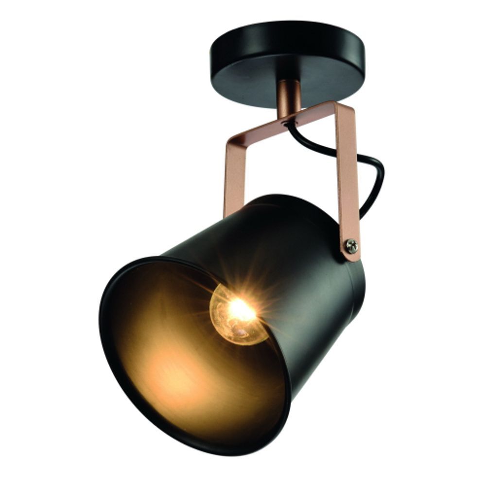 Светильник настенно-потолочный спот Rivoli Acuto 7015-701 1 х Е27 40 Вт поворотный уценка | Rivoli