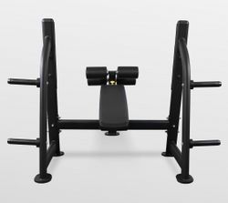 Скамья для жима с отрицательным наклоном Bronze Gym BR-1013