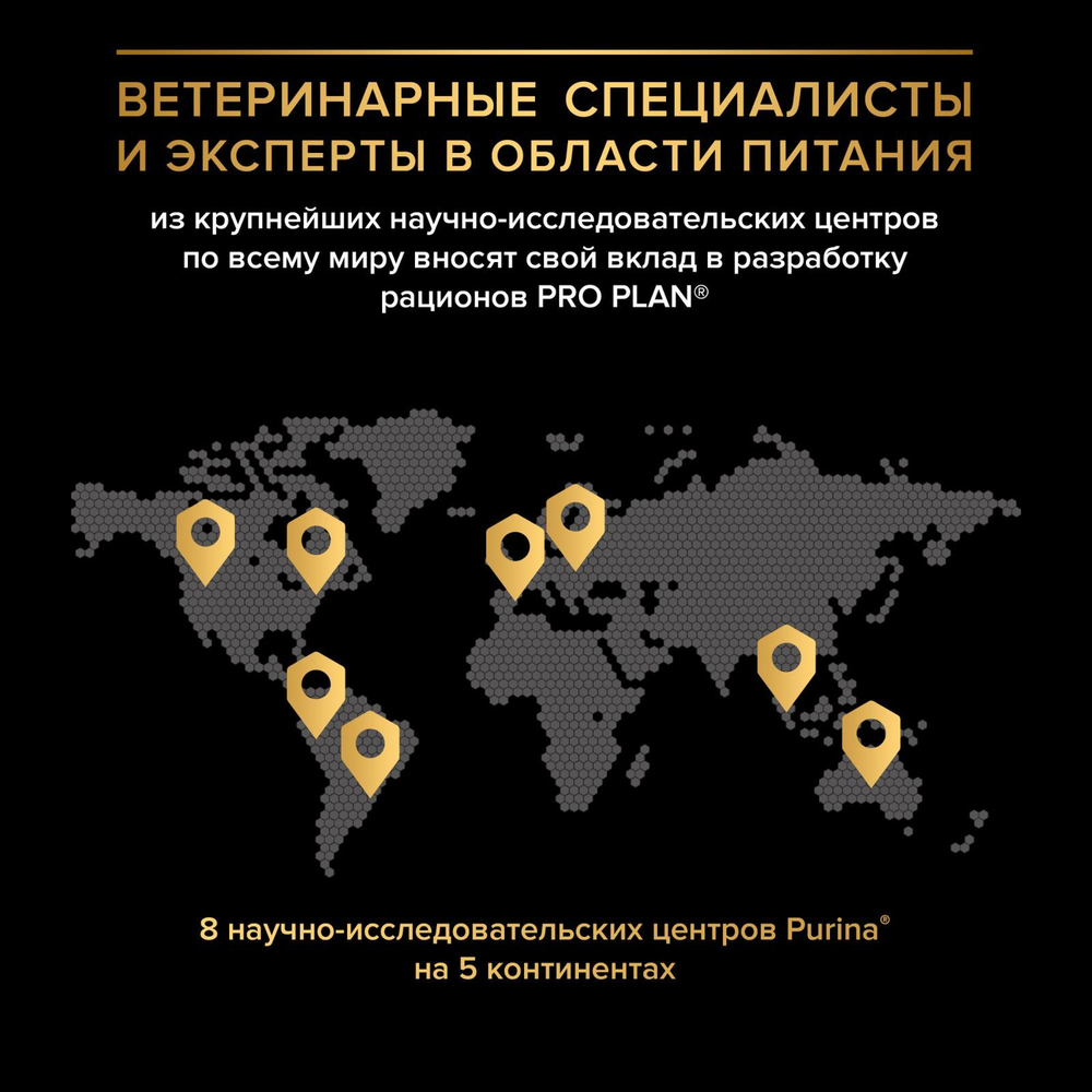 Влажный корм PRO PLAN Maintenance для взрослых кошек, с индейкой в соусе, 85 г