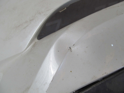 Бампер передний Toyota C-HR 16-19 Б/У Оригинал 52119F4010