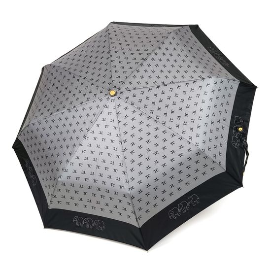 Женский зонт Три Слона, Полный автомат 3808-01