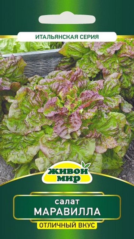 Салат листовой "ЖМ. Mapaвиллa" 1г., Италия.