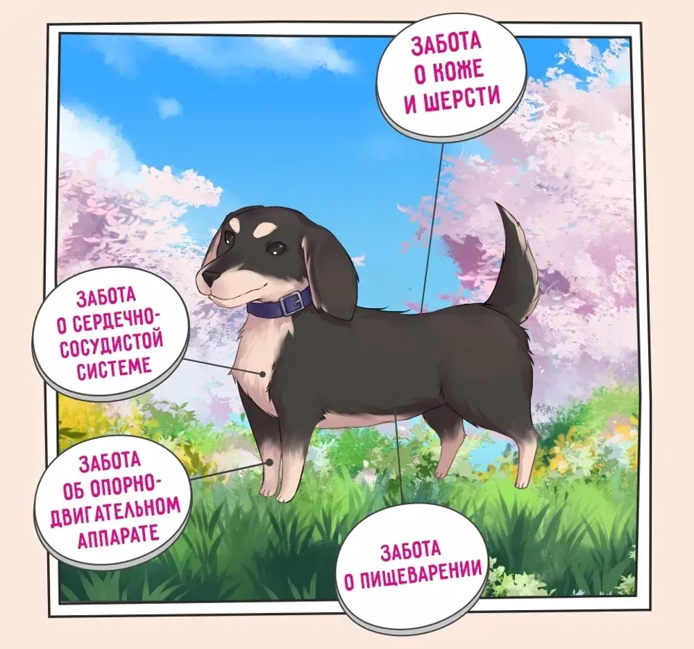 Сухой корм для собак ZILLII (Зилли) Dog Adult Small Breed 2кг индейка и ягненок для собак мелких пород