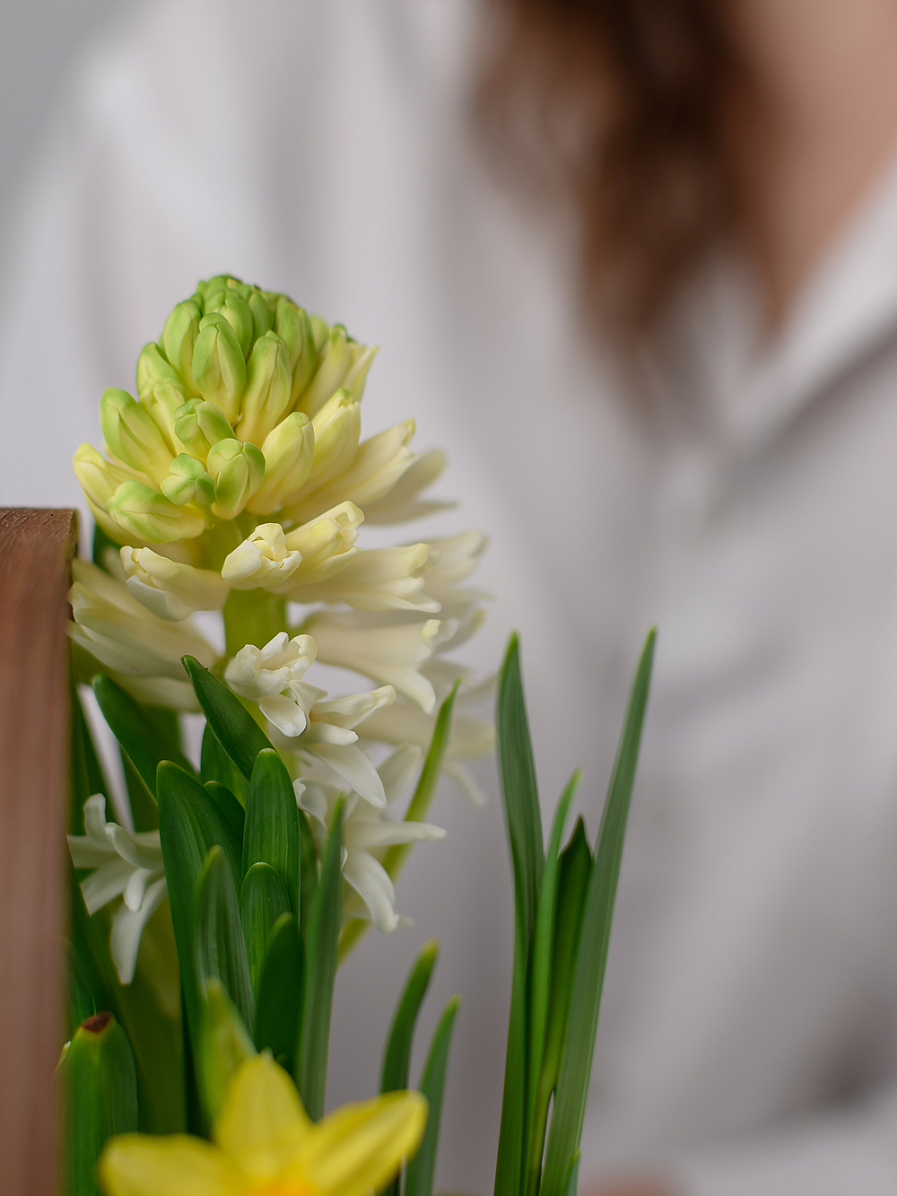 Весне дорогу!