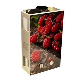 Водонагреватель газовый проточный (газовая колонка) WERT 10EG (с изображением ягод)