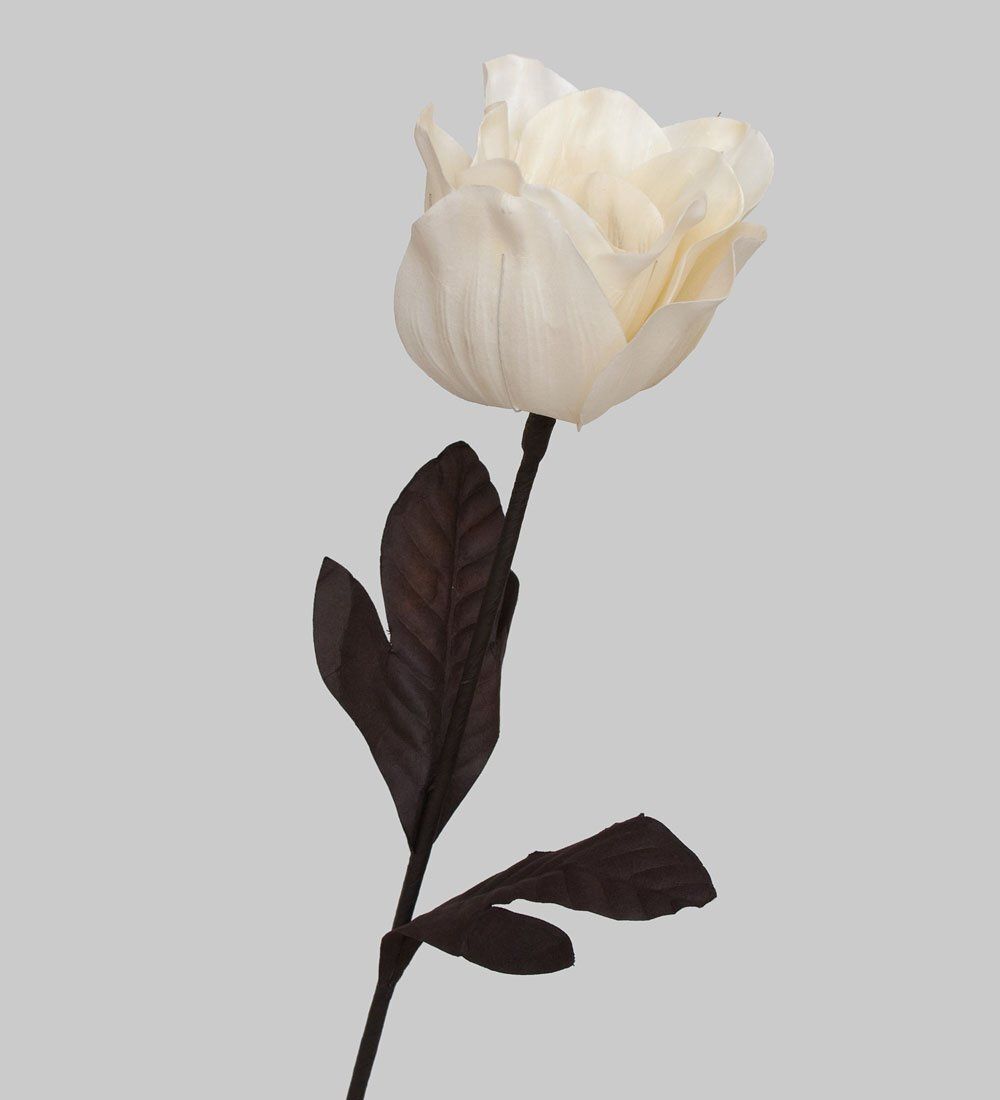 TR 407 Анемона