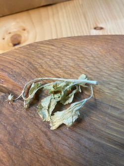 Сельдерей листовой сушёный