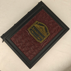 Книга в переплёте из кожи "Домострой" в футляре