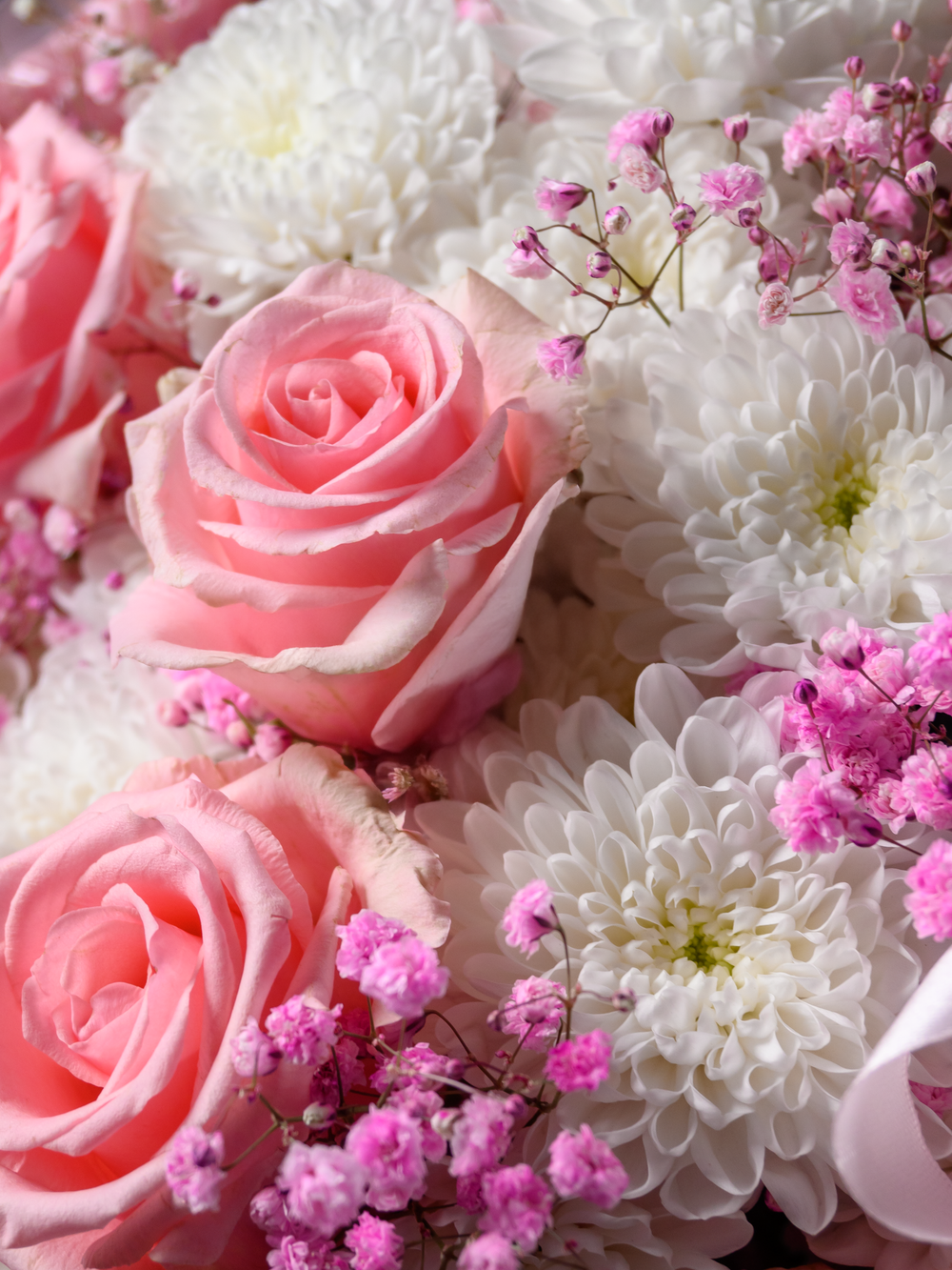 Нежные мечты *