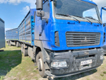 МАЗ 6312 6x4 Зерновоз 553540 (Дизельный, 11,6 л, 423 л.с., МТ)