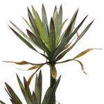 Юкка 2 ствола 120 см