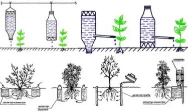 Садовые лайфхаки: 9 способов сэкономить время и силы