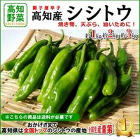 Сладкий Японский Чили Перец Шишито Тогараши - Shishito Togarashi - シシトウガラシ