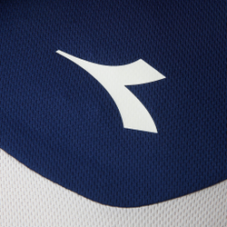 Мужское теннисное поло Diadora Court Polo Men - White, Dark Blue