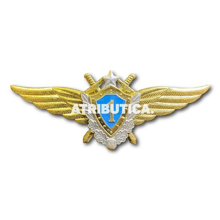 Знак Нагрудный Классность ВВС Летчик 1 Класс Серебряный Венок