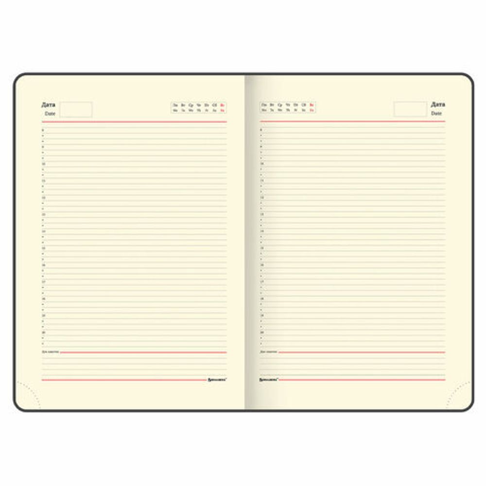 Ежедневник недатированный БОЛЬШОЙ ФОРМАТ 210х297мм А4, BRAUBERG Iguana, 160л, синий, 114451