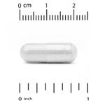 Super Nutrition, ацетил-L-карнитин, 500 мг, 60 растительных капсул