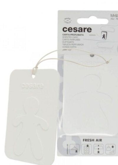 Mr&Mrs Fragrance Аромакарточка для автомобиля CESARE CARD белый FRESH AIR Свежий воздух