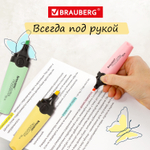 набор текстовыделителей BRAUBERG 6 шт. ассорти "DELTA PASTEL" линия 1-5 мм (4 штуки в упаковке)