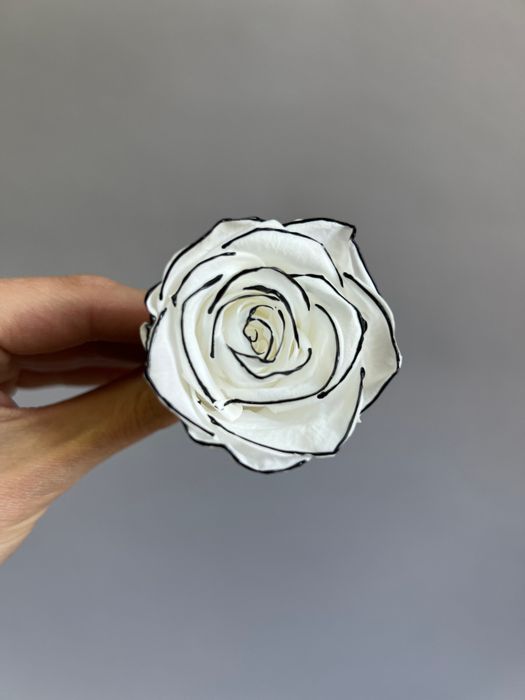 Роза классическая бело-черная d=4-5 см (упак 8 шт)