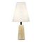 Настольная лампа ST Luce Earthy SL1194.404.01