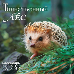 Календарь на скрепке (БПК) Таинственный лес