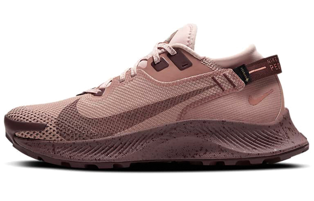 Кроссовки Nike Pegasus Trail 2 Gore-Tex (Женская размерная сетка)