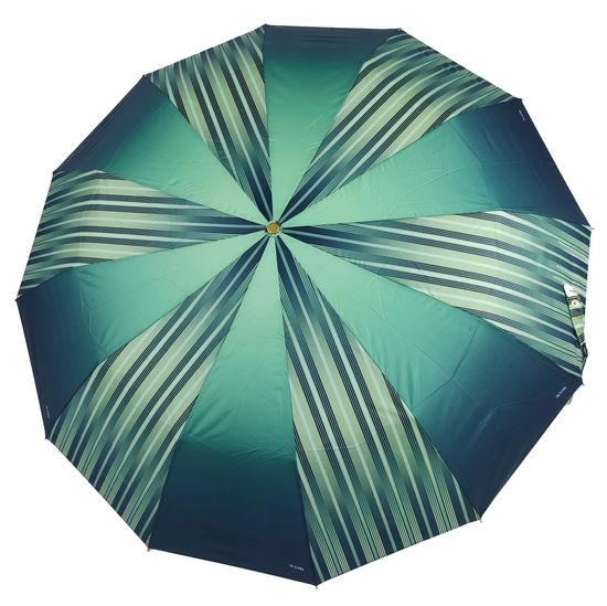 Женский зонт Три Слона, Полный автомат 3121-A-03