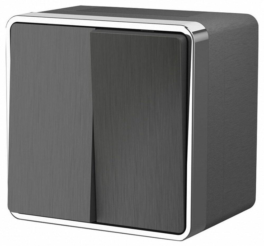 Выключатель двухклавишный Werkel W5020204