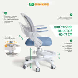 Стул для школьника Ergokids Y-308