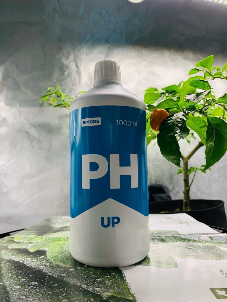 pH Up E-MODE 1 л