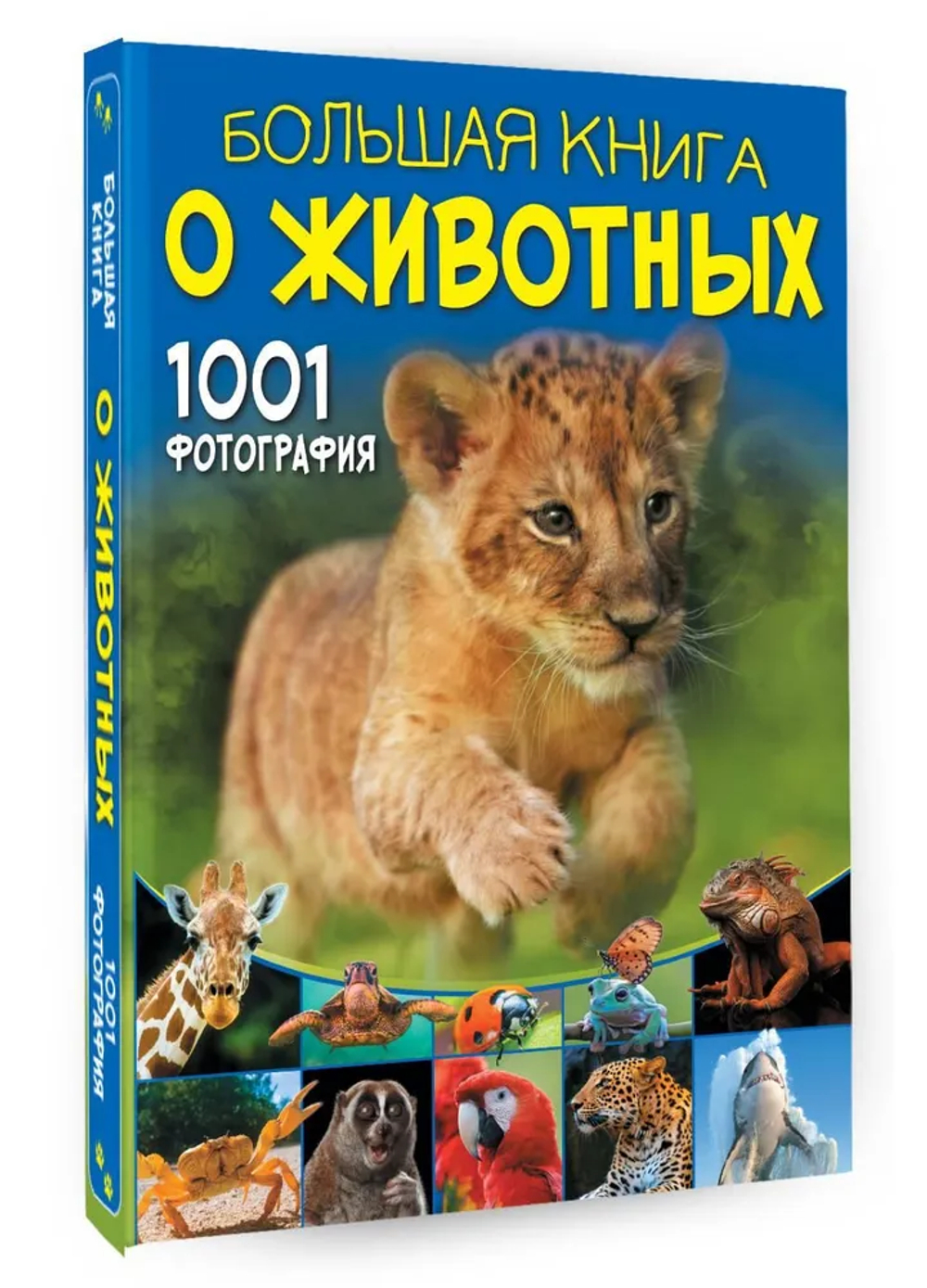 Большая книга о животных. 1001 фотография