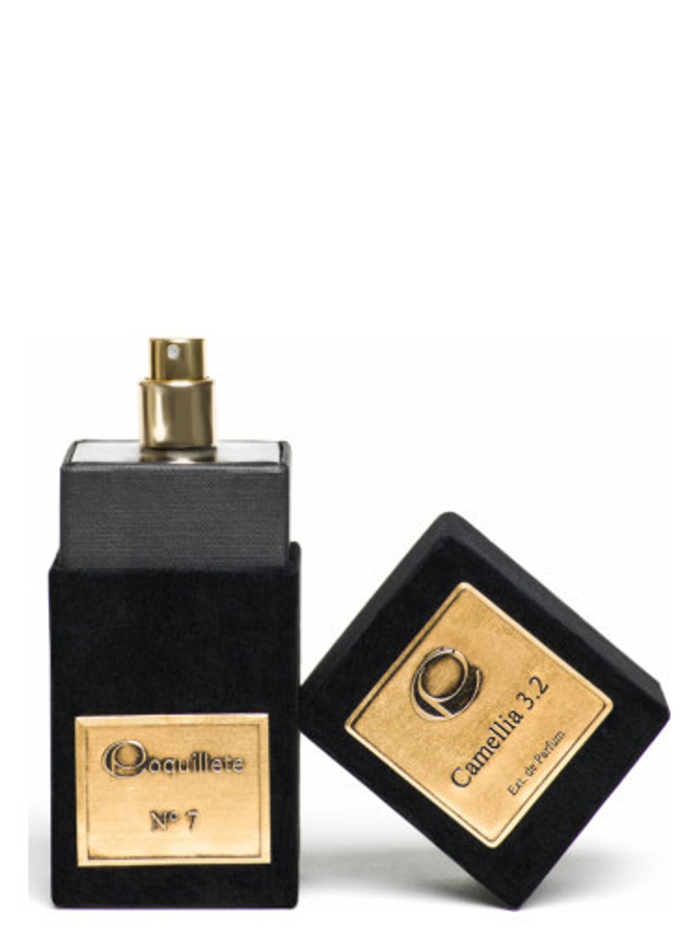 Coquillete Camellia 3.2