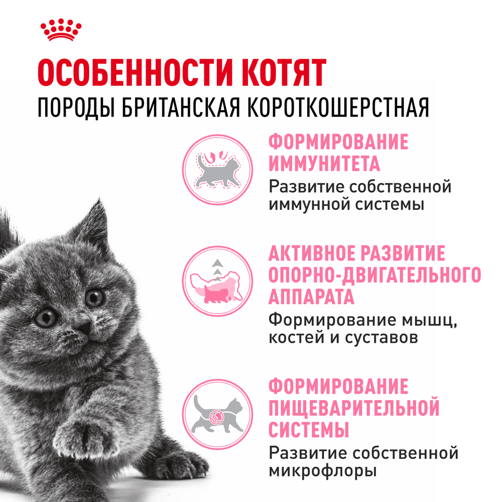Royal Canin British Shorthair Kitten (БРИТАНСКАЯ КОРОТКОШЕРСТНАЯ КИТТЕН) Корм сухой сбалансированный для британских котят 400г