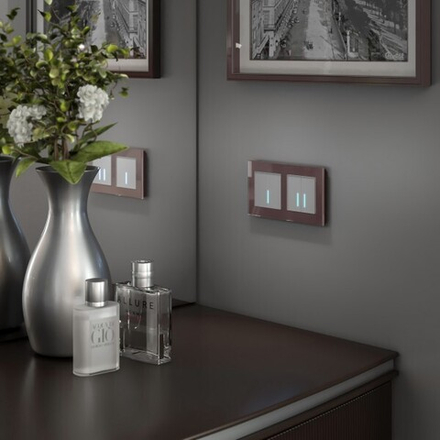 Рамка на 2 поста Favorit (мокко,стекло)