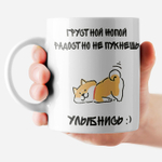 Кружка с приколом "Не зли лисичку"