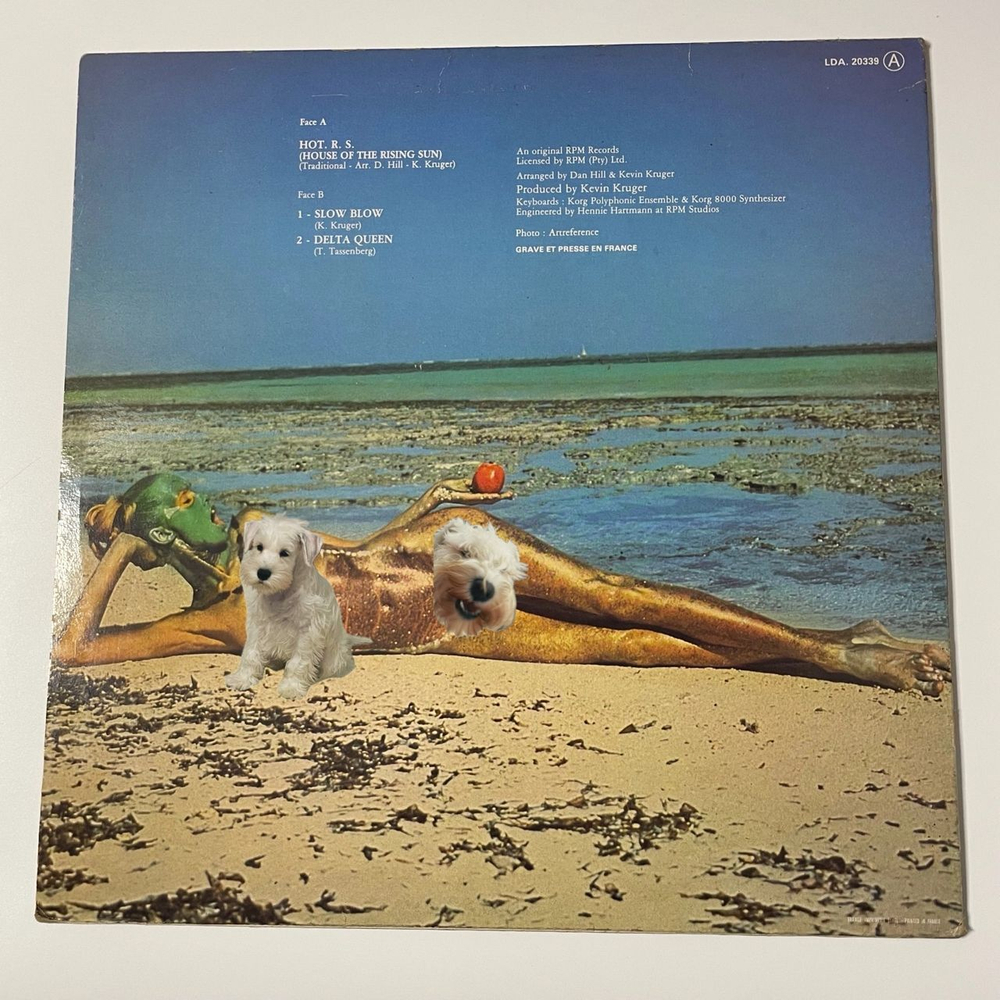 Винтажная виниловая пластинка LP HOT R.S. House Of The Rising Sun (Франция 1977)
