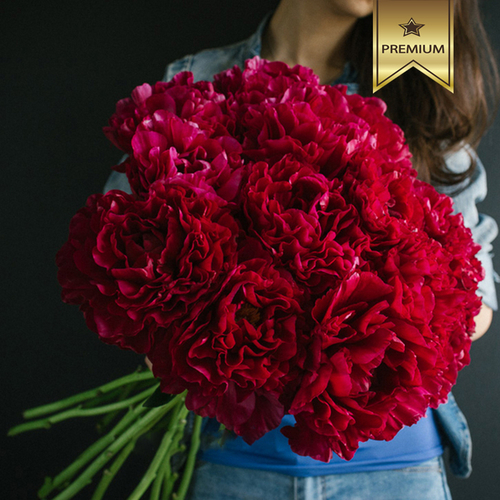 Купить Пионы красные "Олд Файтфул" от 3шт